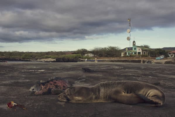 Galapagos - photography